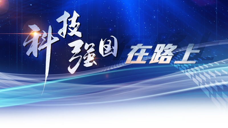数据中台性能优化：技术选型的关键考量